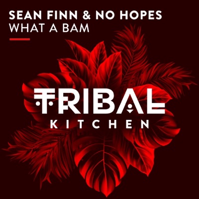 What a Bam (Radio Edit) - Single