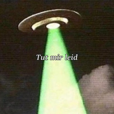 Tut mir leid - Single