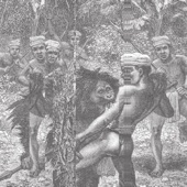 Nu Genea - Bougainvilles Live