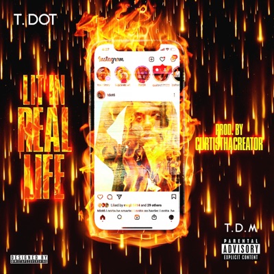 Lit In Real Life - Single