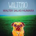 Walter Salas