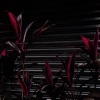 Fine Place - This New Heaven