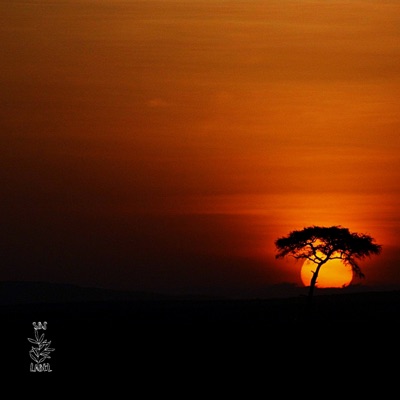 Nadie Confia en Mi (No Quiero Continuar) - Single