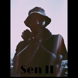 Sen II Vito XX
