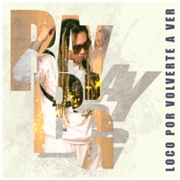 Loco por Volverte a Ver - Single - Ray Bg