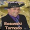 Kad se Gara ofarba u plavo - Bosanski Tornado lyrics
