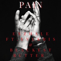 Pain (feat. Evl Kris & Blackest Butter) - Single - Exzhale