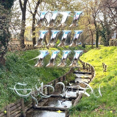 Un giorno nel bosco primaverile