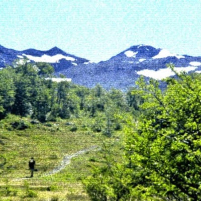 Simplicidá - Single