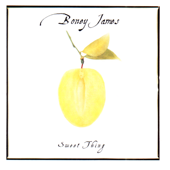 Sweet Thing - Boney James Cover Art