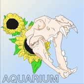 Aquarium - Beautiful Diletant