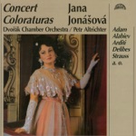 Jana Jonášová, Dvořák Chamber Orchestra & Petr Altrichter - Concerto, Op. 82