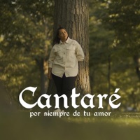 Cantare Por Siempre De Tu Amor - Single - Raymi Marrero