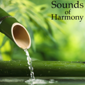 Sounds of Harmony - Miss Harmony