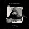 Rainier Fog - Alice In Chains