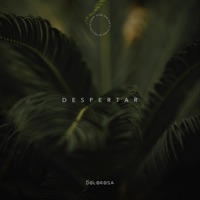 Vanessa Zamora Ablum Cover