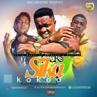 Sika Kokoo (feat. Abrantie & Shottas) - Single - Jerry Beezy