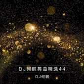 你我是兄弟(DJ Version) artwork