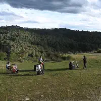 FEELINGS OF AUTUMN DAYS — WILDEERS