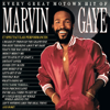 Marvin Gaye - Every Great Motown Hit of Marvin Gaye  artwork