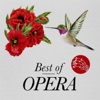Orchestre Les Arts Florissants Serse, HWV 40, Act I Scene I: Ombra mai fu (Serse) Best of Opera
