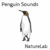 Naturelab - Penguin Sounds
