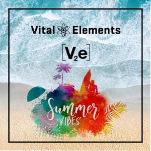 Summer Vibes - Single