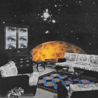 Credit Card Diet - Single - Jay Shuler