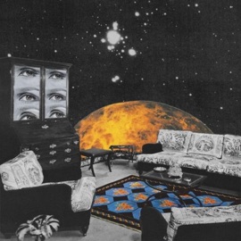 Credit Card Diet Jay Shuler