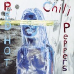 Red Hot Chili Peppers - I Could Die for You