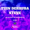 Tuin Derruba Steve - Single