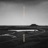 Forgotten Land