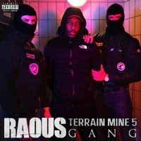 Terrain miné #5 - Single - Raous gang