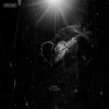 Dark to Light - Single