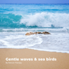 Gentle Waves & Sea Birds - Nature Therapy