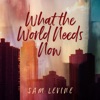 What the World Needs Now - Single (feat. Pat Coil, Jacob Jezioro & Danny Gottlieb) - Single