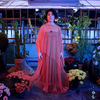 Quero Vejo Fim (Wasabi Sessions) [Live Session] - Single