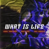 What Is Life (feat. Soul Santoro & Jay Garcia) - Single - Ron Teri