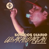 Sonidos Diario - Single - Cesarandearan