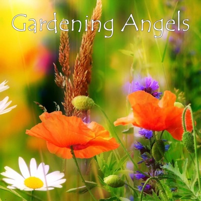 Daisy Harper - Sunny Day