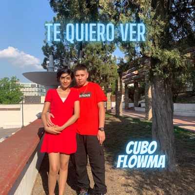 Te Quiero Ver - Single