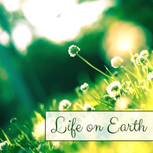 Life on Earth