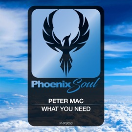 What You Need (Extended Mix) Peter Mac