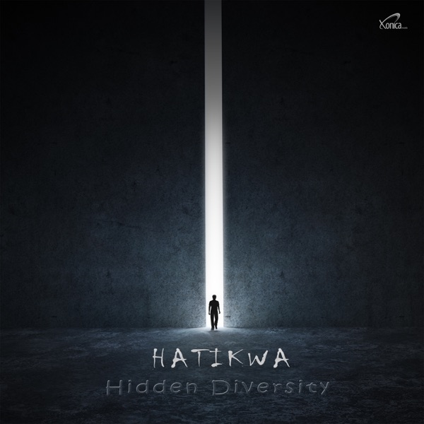 Hidden Diversity - Single
