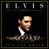 Elvis Presley & Royal Philharmonic Orchestra - Burning Love (with The Royal Philharmonic Orchestra) artwork