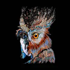 Listen to Feelin, watch music videos, read bio, see tour dates & more!