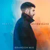 Brandon Mig - Best I'll Never Have