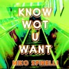 Know Wot U Want - Single