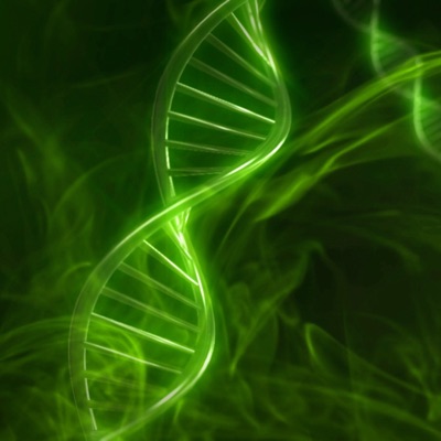 Fakin Drogy - Single