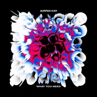 What You Need - Single - Aurpan Kar
